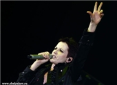 THE CRANBERRIES -   