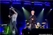 Billy Idol   Steve Stevens