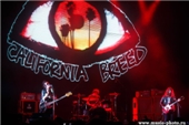 California Breed