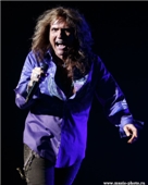 Whitesnake
