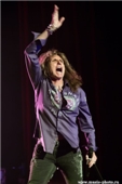 Whitesnake
