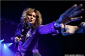 Whitesnake