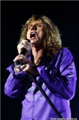 Whitesnake