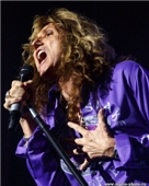 Whitesnake